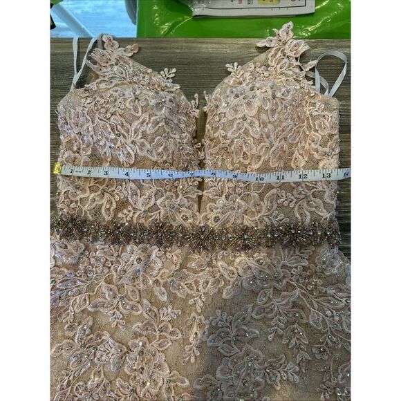 Mac Duggal A79341 Appliqué Sleeveless Plunge Neck Trumpet Blush Gown. Size 2. 17 - Picture 11 of 15